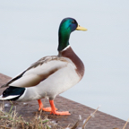 20140301_134020_11936.jpg