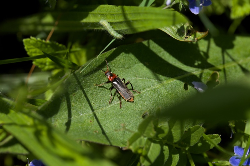20140524_115641_19710.jpg