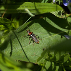 20140524_115641_19710.jpg