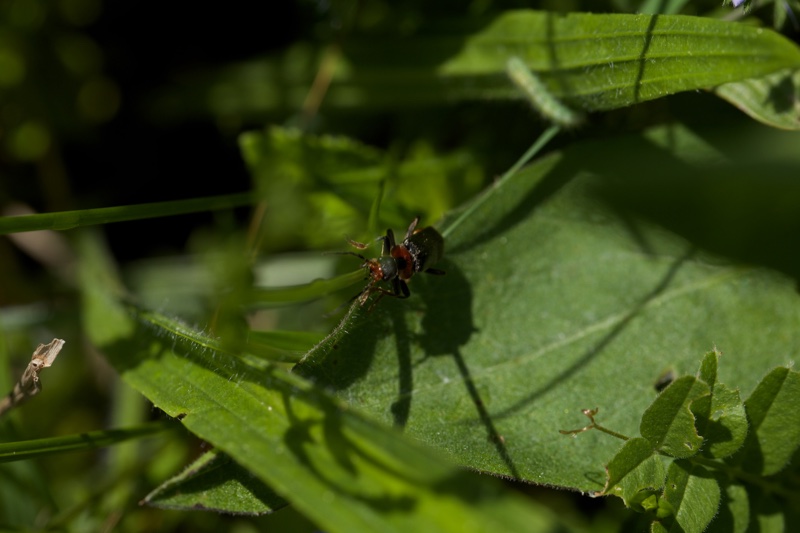 20140524_115645_19715.jpg