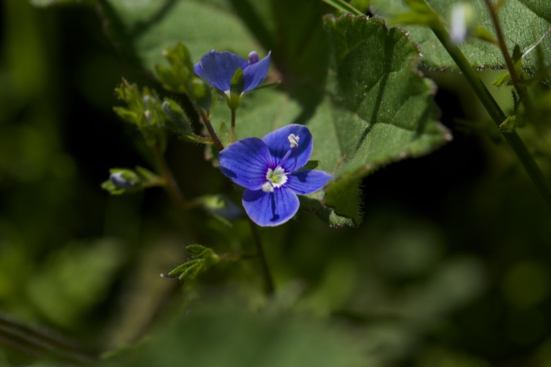 20140524_115800_19727.jpg