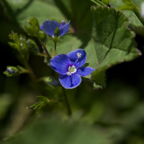 20140524_115800_19727.jpg