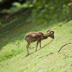20140524_123725_19758.jpg