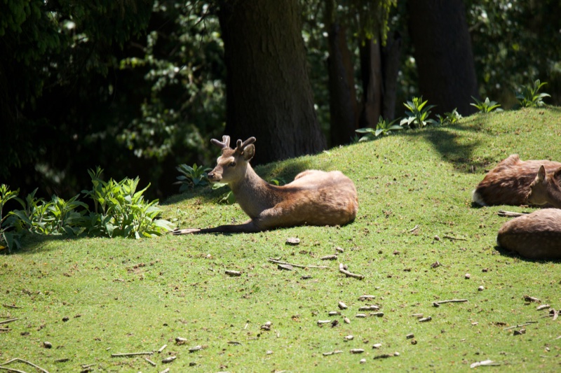 20140524_124720_19775.jpg