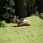 20140524_124720_19775.jpg