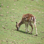 20140524_125445_19807.jpg