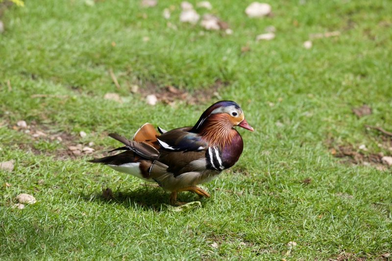 20140524_133136_10003.jpg