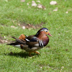 20140524_133136_10003.jpg