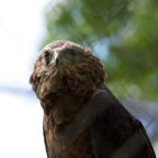 20140524_134655_10040.jpg