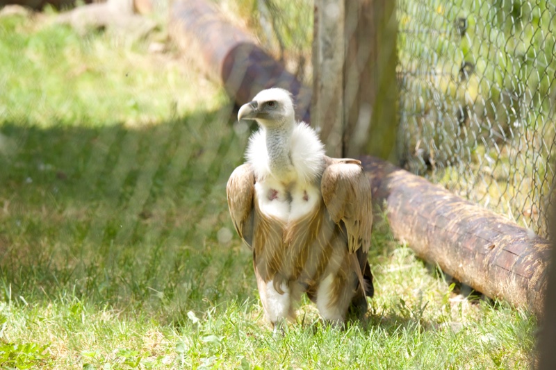20140524_134807_10054.jpg