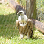 20140524_134807_10054.jpg