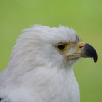 20140524_141047_10124.jpg