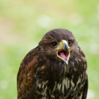 20140524_141149_10133.jpg