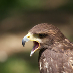 20140524_142106_10175.jpg