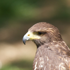 20140524_142117_10179.jpg