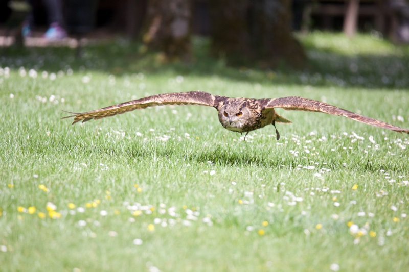 20140524_143937_10236.jpg