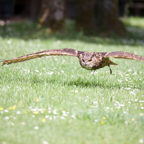 20140524_143937_10236.jpg