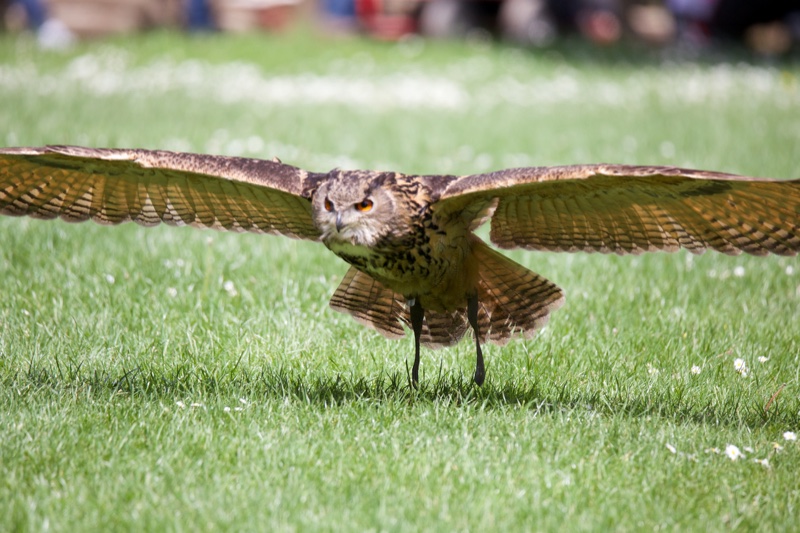 20140524_143937_10238.jpg