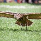 20140524_143937_10238.jpg