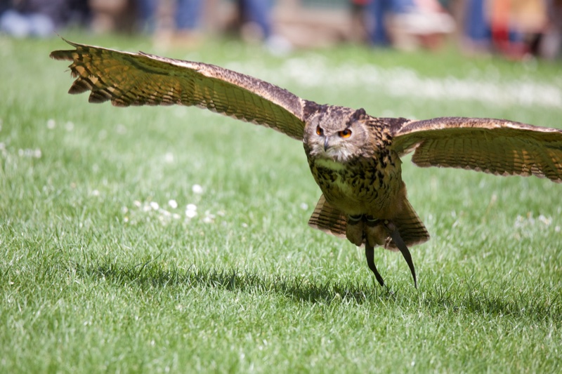 20140524_144028_10242.jpg