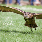 20140524_144028_10242.jpg