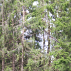 20140524_144836_10279.jpg