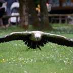 20140524_145625_10366.jpg