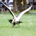 20140524_145625_10367.jpg