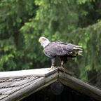 20140524_150545_10400.jpg