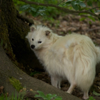 20140524_162048_10566.jpg