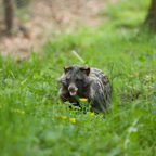 20140524_162230_10579.jpg