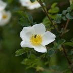20140524_162555_10598.jpg