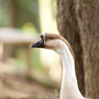 20140524_165058_10672.jpg