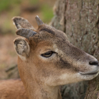 20140524_165110_10673.jpg