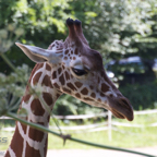 20120803_145656_00282.jpg