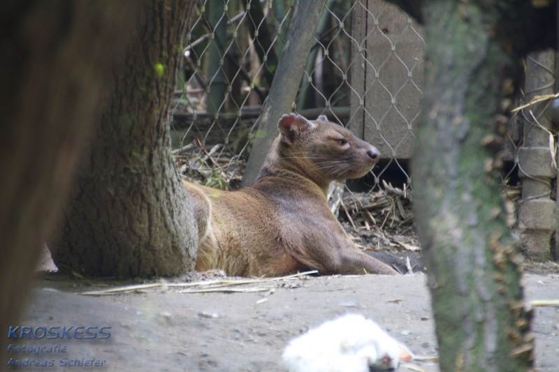 20120803_150016_00285.jpg