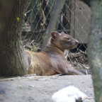 20120803_150016_00285.jpg