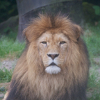 20120803_150642_00287.jpg