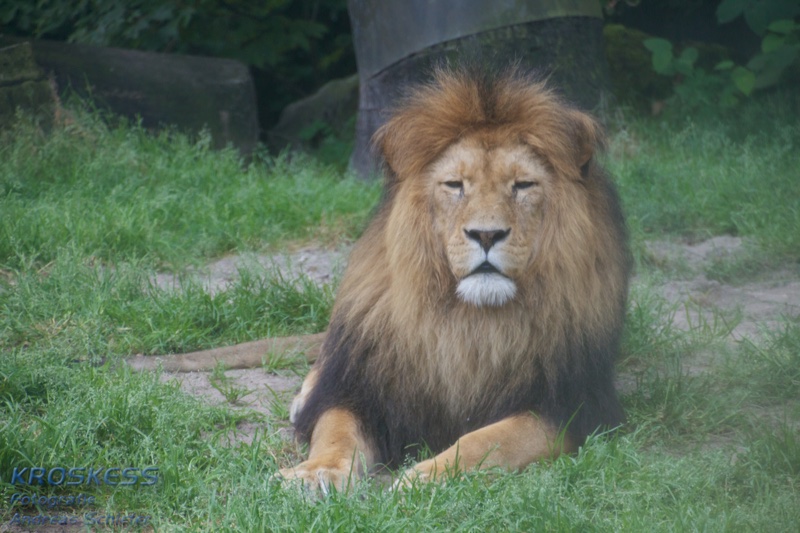 20120803_150647_00288.jpg