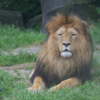 20120803_150647_00288.jpg