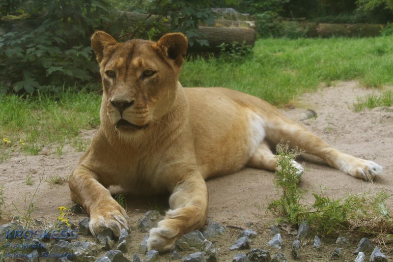 20120803_150730_00290.jpg