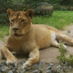 20120803_150730_00290.jpg