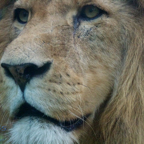 20120803_151223_00295.jpg
