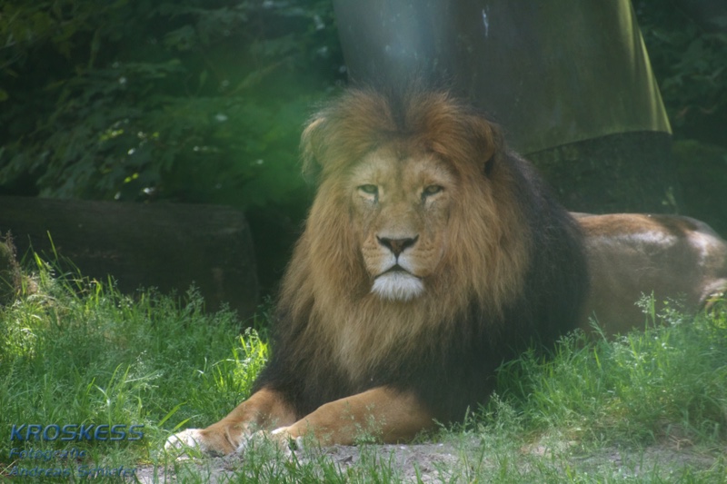20120803_151549_00299.jpg