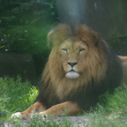 20120803_151549_00299.jpg