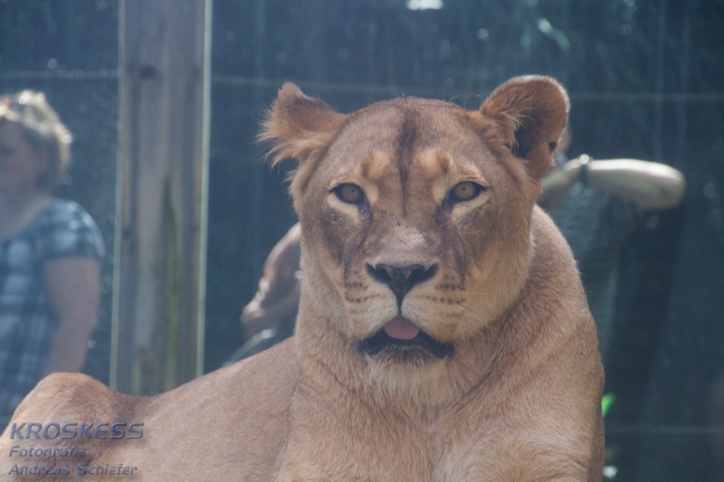 20120803_151608_00300.jpg