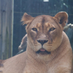 20120803_151608_00300.jpg