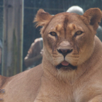 20120803_151619_00301.jpg