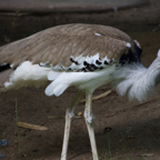 20120803_152433_00313.jpg