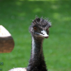20120803_152647_00319.jpg